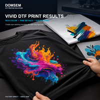 Nouvelle imprimante DTF à plat double tête DOMSEM 30 cm avec têtes d'impression Epson F1080 pour vêtements, autonome ou avec secoueur de poudre