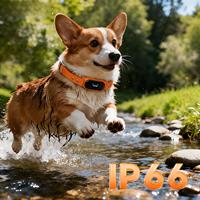Nouveau localisateur GPS pour animaux de compagnie 2026, traceur 4G en temps réel, collier étanche avec moniteur de santé et étiquette nominative électronique pour chiens et chats