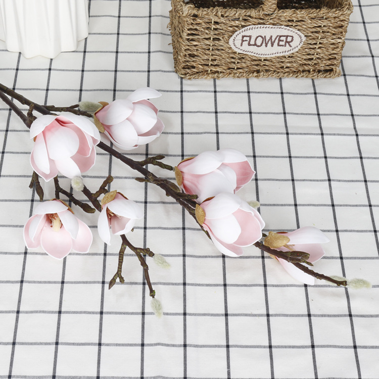 couleur rose