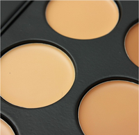 Palette de correcteur de teint en gros, marque privée, 10 couleurs, palette de contouring, correcteur de teint pour le visage, sans cruauté