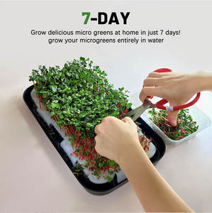 Wholesale Indoor 16W Seed Starter Led Full Spectrum Intelligent Hydroponic Planter Microgreens <strong>Growing</strong> <strong>Kits</strong> 3-Year Warranty - Product Image 6