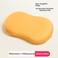 Busa Memori Bantal Penyangga Leher Anak-anak Dewasa Inti Bantal Multifungsi Jahitan Berlapis 3D Grosir Dropshipping