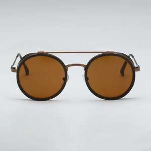 Lunettes de soleil polarisées rondes rétro <span class=keywords><strong>vintage</strong></span> 2026 unisexe, petite monture métallique à <span class=keywords><strong>double</strong></span> pont, verres TAC, noir brillant/marron - Product Image 1