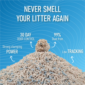 Litière pour chat à base <span class=keywords><strong>de</strong></span> tofu végétal riche en protéines, biodégradable et jetable dans les toilettes, respectueuse <span class=keywords><strong>de</strong></span> l'environnement pour les chats - Product Image 4