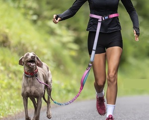 Laisse de chien multifonctionnelle mains libres, robuste, avec logo personnalisé, ceinture réglable <span class=keywords><strong>et</strong></span> attache pour ceinture de sécurité de voiture - Product Image 6