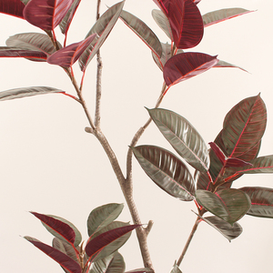 Arbre à caoutchouc artificiel <span class=keywords><strong>vente</strong></span> directe en usine de plantes à caoutchouc de haute qualité arrangement floral <span class=keywords><strong>d</strong></span>'intérieur de haute qualité - Product Image 5