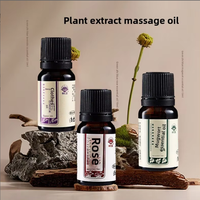 Coffret de voyage d'échantillons d'huiles essentielles de massage à l'armoise, Huile botanique verte infusée au gingembre, Huile de pépins de raisin hydratante pour la beauté