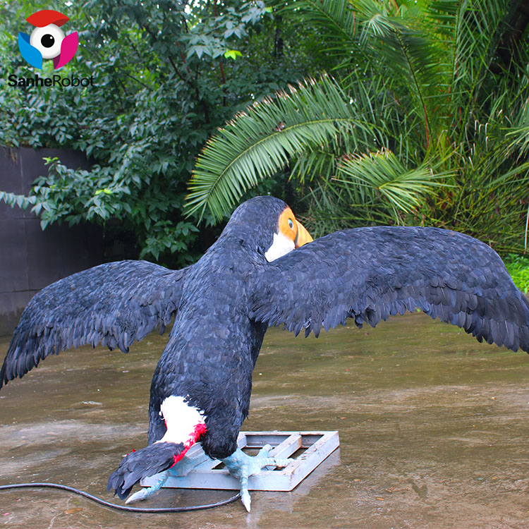 cockatoo bird for sale