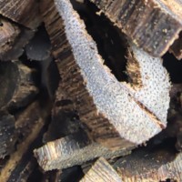 Eco14(1Y)01 Agarwood Fukura Oud 3A+ Hainan Chine, riche en huile, avec un parfum boisé fruité sucré, bâtonnets d'encens en bois d'agar.