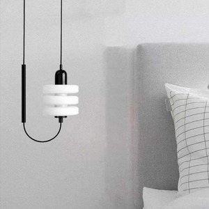 Pendant <b>Light</b> Round <b>Single</b> Head Incandescent Lamp <b>Switch</b> Control Home Lighting D180 H300 Adjustable Cable 2M - Product Image 2