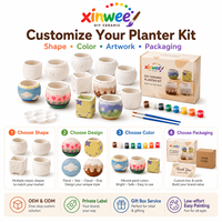 Kit de Pintura de Macetas de Cerámica para Suculentas, Personalizable, Estilo Estético para Niñas, Manualidades, Juego Educativo STEM, Idea de Regalo de Cumpleaños