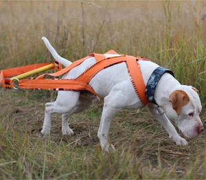 Tali kekang anjing nilon mewah untuk anjing sedang hingga besar tali latihan timbangan kekuatan Musim Dingin harnes anjing - Product Image 6