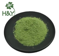 Poudre de superaliments verts OEM pour adultes, fournissant énergie, enzymes digestives et probiotiques