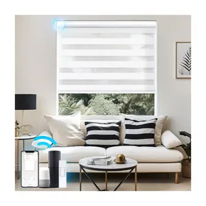 Smart Cordless Electric Blackout Shades Day And Night Zebra Blinds For Windows
