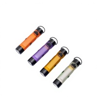 Mini lampe LED multifonctionnelle 5050 rechargeable de poche avec clip porte-clés, protection contre les surcharges, pour usage extérieur et ambiance lumineuse