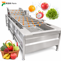 3m Fruit- en Bellenwasmachine voor Appel, Sinaasappel, Aardbei, Kers, Citroen, Mango, Tomaat, Chinese Bieslook. Wasapparaat geleverd.