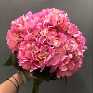 Flores de Hortensia Artificiales al por Mayor Y-H093, Flores Falsas para Boda con Tacto Real, Flores de Hortensia con Tacto Real - Product Image 4