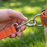 NOVIPET Laisse pour chien en nylon réfléchissant, crochet en alliage de zinc robuste, coutures réfléchissantes double face, laisse de sécurité nocturne pour animaux de compagnie