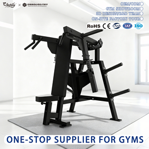 Equipo de Ejercicio para Hombres, Máquina de Extensión de Espalda, Equipo de Gimnasio Todo en Uno para Entrenamiento de la Parte Superior del Cuerpo, Equipo de Gimnasio Comercial, Juego Completo - Product Image 1