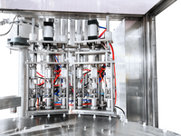 Machine de remplissage et de capsulage d'emballage de bec de jus de gels douche de poche debout automatique personnalisée en usine
