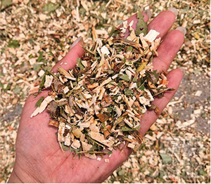 Broyeur de branches d'arbre à moteur diesel Branches de bois rondes Paille Arbres fruitiers Grand broyeur de bois - Product Image 5