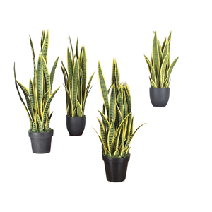 Planta Artificial <span class=keywords><strong>de</strong></span> Serpiente, Bonsái, Simulación <span class=keywords><strong>de</strong></span> Plástico, Planta Verde, Bonsái, Planta <span class=keywords><strong>de</strong></span> Serpiente, <span class=keywords><strong>Sansevieria</strong></span>, <span class=keywords><strong>Hoja</strong></span> <span class=keywords><strong>de</strong></span> Plástico Verde para Decoración del Hogar - Product Image 1