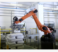 Robot palettiseur, robot palettiseur, robot palettiseur automatique