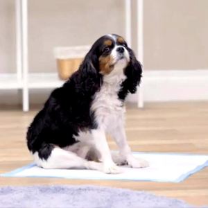 Tapis pour chiots en bambou de qualité supérieure, écologiques, pour chiens - Tailles S/M/L/XL - Product Image 5