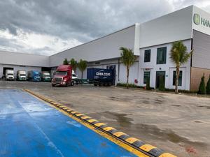 Nueva cosecha 2025 anacardos DW precios baratos de Vietnam Top BRC Factory Ms Kathryn 0084327324400 - Product Image 4