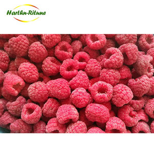 High Quality New Crop IQF Frozen Raspberries <strong>Fresh</strong> <strong>Fruit</strong> for Wholesale and Retail in Bulk - Product Image 5