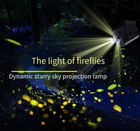 Lumière laser Firefly 5W, LED réglable, effet dynamique, IP65 étanche, extérieur, pour parc, jardin, place, éclairage d'ambiance