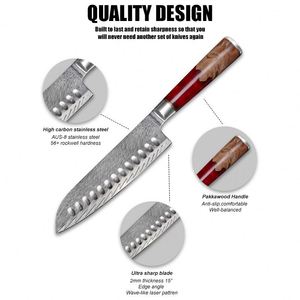 Cuchillo de Cocina de Acero Damasco con Mango de Resina Azul de Lujo, Hoja de 67 Capas VG10, Juego de Cuchillos de Cocina Japoneses - Product Image 1