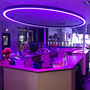 1.5m Diameter Ring RGB Ceiling Light Suspended Gym Fitness Room Light with <strong>Multi</strong> <strong>Color</strong> <strong>Changing</strong> - Product Image 3
