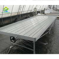 Table de culture hydroponique à flux et reflux de haute qualité 4x12 pieds pour culture hors sol en intérieur, banc roulant pour serre