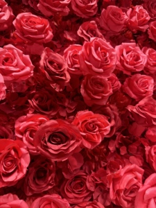 5D Premium Silk Wedding Flower Wall <strong>Backdrop</strong> 8x8 ft <strong>Pink</strong> Rose Hydrangea Floral Panel for Luxury Events - Product Image 5