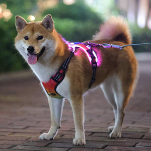 カスタムパターンオックスフォードアウトドアナイトウォーキングメッシュフロントクリップRGB充電式USBLEDライト付きプルペットドッグハーネスなし - Product Image 2