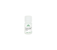 Kit ELISA pour l'ADN 5-hmC pour la quantification globale du 5-hmC et l'analyse de la méthylation de l'ADN à haut rendement