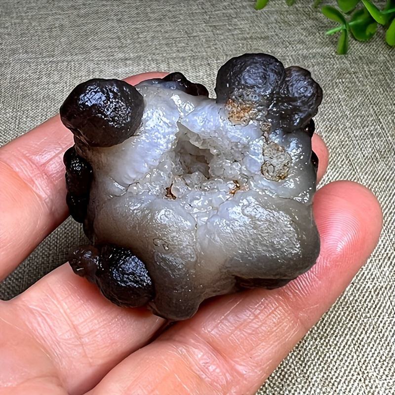 แพนด้าอาเกต