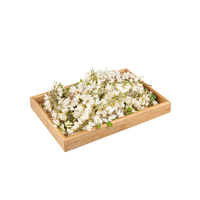 QYherb Factory Supply Extrait de plante Poudre de quercétine de haute qualité 98% Échantillon gratuit disponible