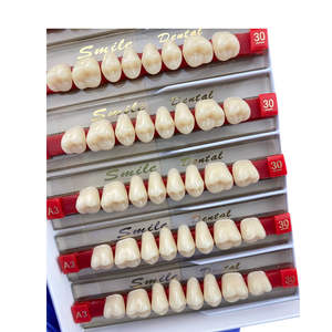 ฟันอะคริลิกเรซิ่น 16 สี ฟันหลังสังเคราะห์แบบสองชั้น - Product Image 4