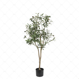 <span class=keywords><strong>Olivier</strong></span> artificiel résistant aux UV | Usine directe | Faux arbre abordable pour la décoration intérieure et extérieure - Product Image 2