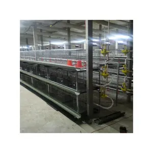 Best seller 3-tier Traditonal Broiler Chicken Cages for sale