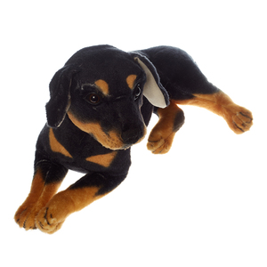 Peluche <span class=keywords><strong>chien</strong></span> en peluche douce et mignonne pour bébé en gros - Product Image 3