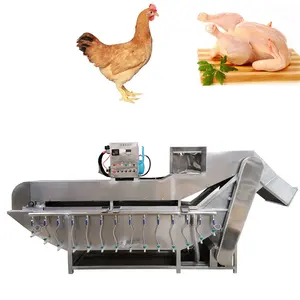 Abattoir Dioperasikan Mudah Pemotongan Desain Baru Mesin Pencabut Bulu Ayam