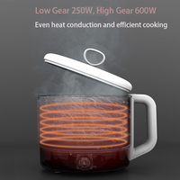 Marmite électrique 1.2L Petite marmite électrique Portable Fast Pasta Cooker Multi Cooker Steamer for Soup Ramen Porridge Egg