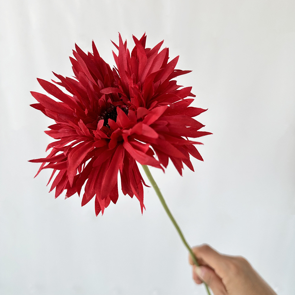 Rojo