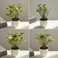 Plante artificielle Vcare Bonsaï 26 cm, verdure réaliste faite à la main pour la décoration intérieure du salon