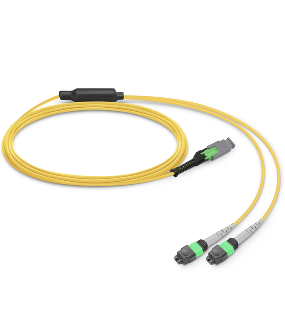 Kexint MMC Breakout Fiber Optic Cable OM4 G657A1 MMC-16 APC Female to 2 X MTP-8 APC Female 16 Fibers Jumper