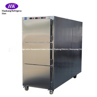 Refrigerador Haokang de Acero Inoxidable 304, Estilo Americano, para Cadáveres, para Uso con Bebés, Capacidad para 3 Cadáveres, -5~-15 °C