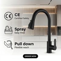 Keran Dapur Stainless Steel Hitam Doff Model High Arc Pull Down Sprayer Tuas Tunggal Lubang Tunggal Pemasangan di Dek Fungsi Ganda